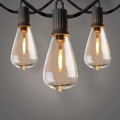 ZOTOYI 7.5 Metros Guirnaldas Luminosas de Exterior, ST38 Luces de la secuencia del jardín al aire libre con 9+1 Filamento LED Bombillas, IP65 Impermeable Perefcto para Jardín Trasero Fiesta Patio