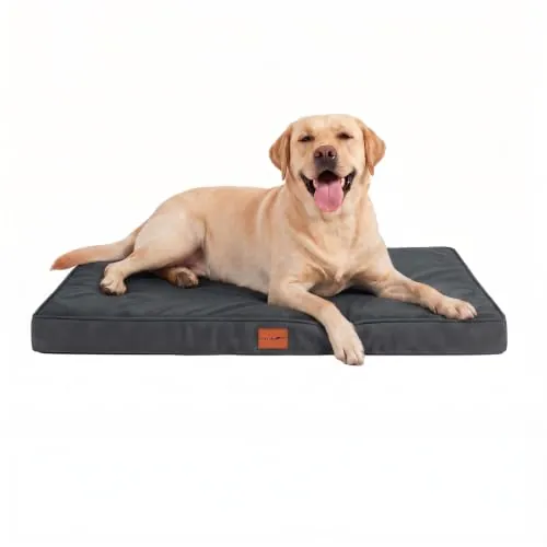 WAVVE Cama Perro Grande Ortopédica 104x69x7.6 cm Gris