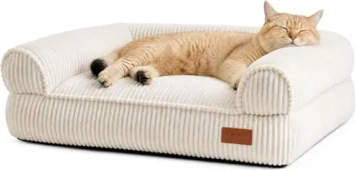 FUKUMARU Cama para Gatos, Sofá Cómodo de Terciopelo para Gatos de Interior con Funda Desmontable y Lavable, Cama para Perros Antideslizante y de Apoyo para Perros Pequeños, 72 x 52 x 22 cm, Cream