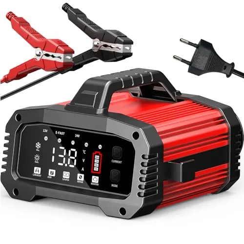 Husgw 12V25A 24V15A Cargador de Batería, Cargador para Baterias de Coche