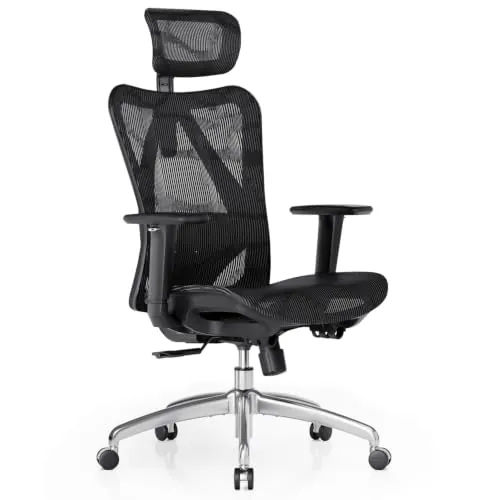 SIHOO M57 Silla Oficina Ergonómica De Malla, Soporte Lumbar, 150 Kg, Negro