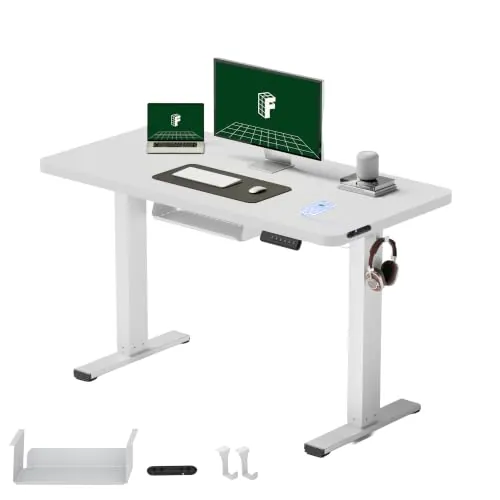 FLEXISPOT Escritorio Elevable Eléctrico 120x60, Tablero Entero, 4 Memorias