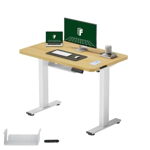 FLEXISPOT Escritorio Elevable Eléctrico 100x60, Tablero Entero, 4 Memorias | Mesa Elevable Altura Ajustable, organizador de cables, anticolisión con retroceso y 4 memorias, garantía de 5 años, Negro
