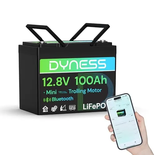 Dyness Batería de Litio 12V 100Ah Bluetooth, Batería LiFePO4 Mini 12V para Kayak con BMS 100A, Protección contra Bajas Temperaturas, para Sistemas Solares, Barcos, Caravanas, Camping