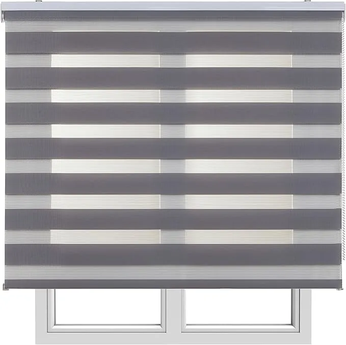 Estores Enrollables Noche y Día Elegantes con Tejido de Doble Caída para Puertas y Ventanas, Estor Noche y Dia de Fácil Instalación con Filtrado de Luz Ajustable STORESBASIC Gris 100x250