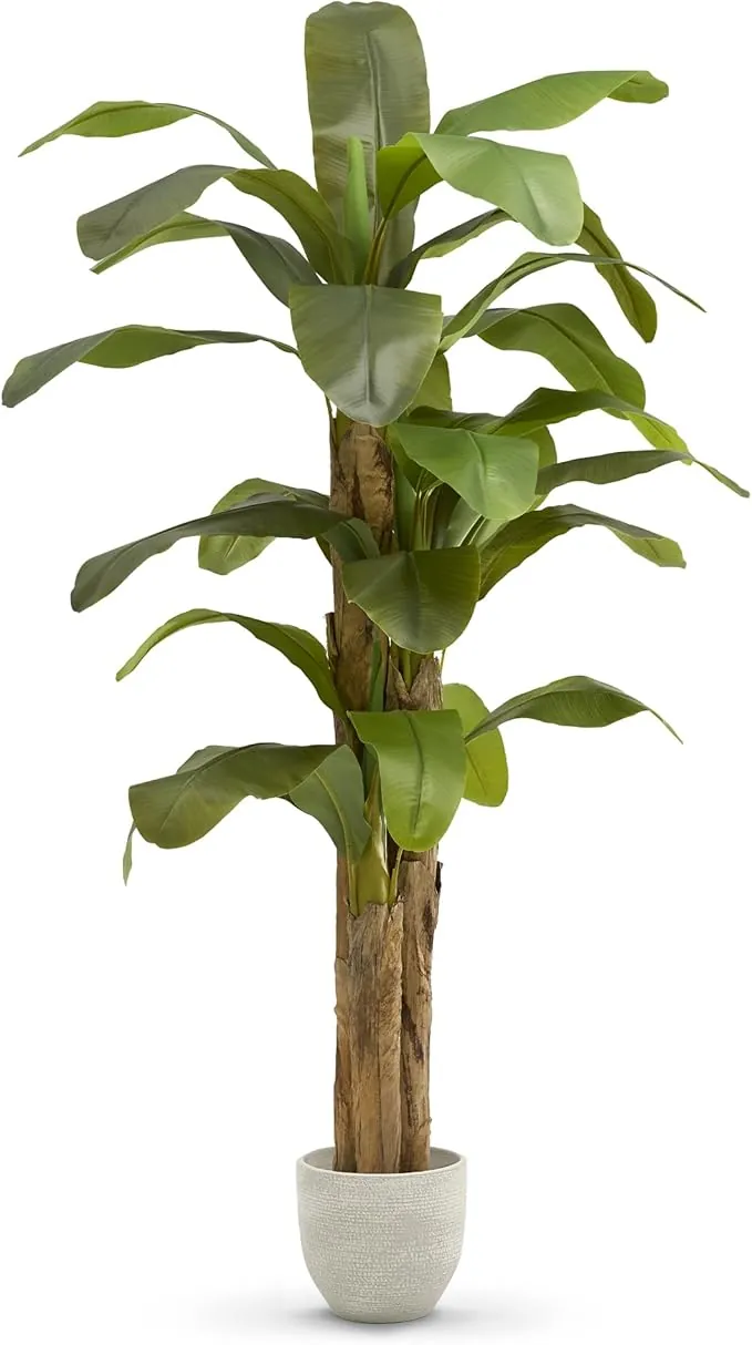 MAIA SHOP Platanera Artificial 210 cm con Tronco Natural – Planta Artificial Grande y Realista, Árbol Decorativo para Salones, Oficinas, Hoteles y Restaurantes