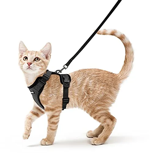 rabbitgoo Arnes para Gatos Antiescape con Correa 150cm, Arnes Gato Ajustable Reflectante, Chaleco de Tela de Malla Suave y Transpirable, Arnés Gato Pequeño para Caminar Entrenar, XS, Negro