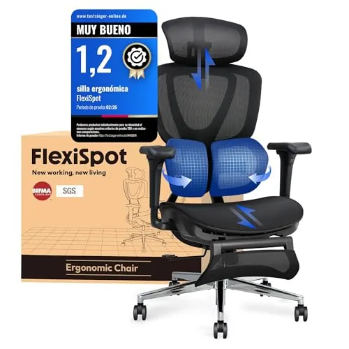 FLEXISPOT Silla de Oficina Ergonómica de Malla, Reposapiés, Soporte Lumbar
