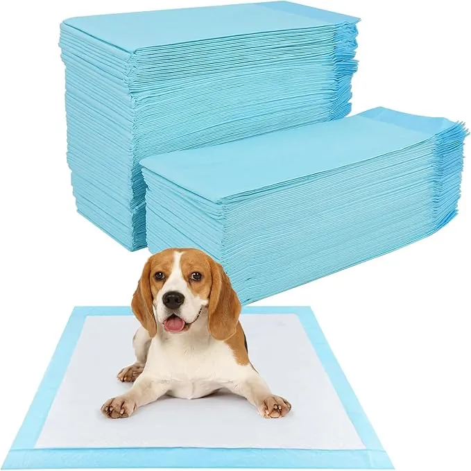 100 Piezas Empapadores para Perros y Cachorros, 60 x 60cm Almohadillas Adiestramiento, 5 Capas Absorbentes Antifugas, Secado Rápido