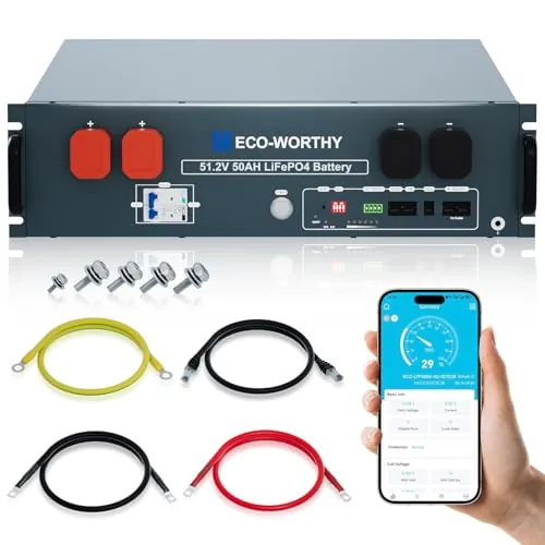 ECO-WORTHY LiFePO4 48V 50Ah Bluetooth con BMS de 100A, 2,56kWh 48V batería de litio para gabinete de servidor, batería solar completa para sistema de energía solar fotovoltaica