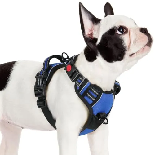 rabbitgoo Arnes Perro Pequeño con 3 Hebillas, Liberacion del Cuello, Arnes Perro Ajustable con Asa y Clip Frontal, Arnés Antitirones para Perros Reflectante para Adiestramiento Correr, Azul, S