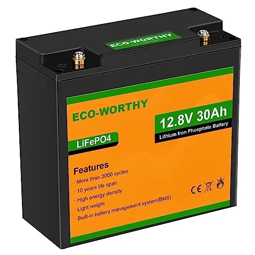 ECO-WORTHY Batería Litio 12V 30Ah Solar Batería LiFePO4 Ciclo Profundo 3000 Veces Recargable con BMS