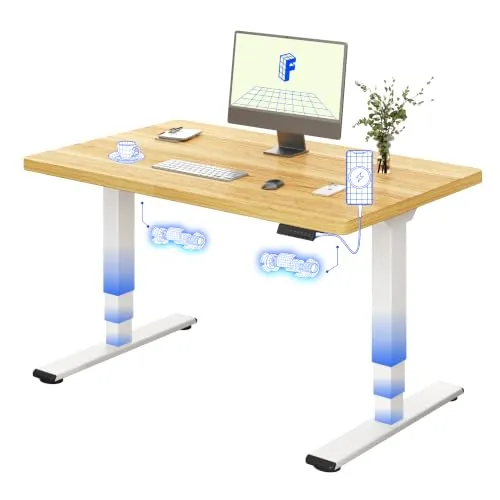 FLEXISPOT E5 Plus Escritorio Elevable 120x80, Doble Motor, USB