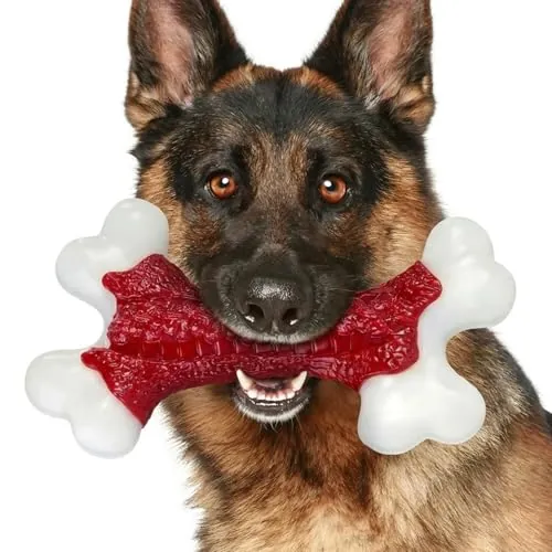 ChienBox Juguete Perro Muy Resistente para Masticadores Fuertes: Juguetes Perros Grandes de Nylon Resistente, Sabor a Carne de Res, Juguetes para Perros para Entrenamiento y Cuidado Dental