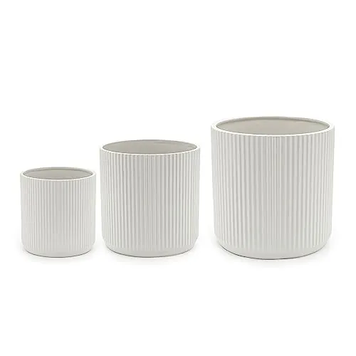 Amazon Basics Redondo Macetas de cerámica, varios tamaños, estriada, Paquete de 3, 15.2, 20.3, y 25.4 cm, Color Blanco