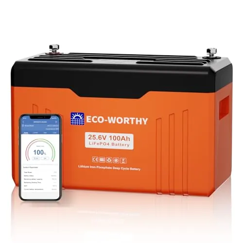 ECO-WORTHY Bateria Lifepo4 Bluetooth (100 Ah, 24 V, con SOC y indicador de Estado, 100 A BMS con protección de Baja Temperatura, máx. 15000 ciclos, Ideal para Autocaravana, Panel Solar