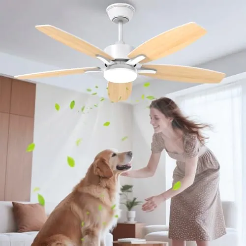 Airwit 106cm Silencioso Ventilador de Techo con Luz, Doble Cara Aspas Lampara Ventilador Techo LED con Mando a Distancia y Reversible Motor DC para Dormitorio Salon Cocina, 6 Velocidades