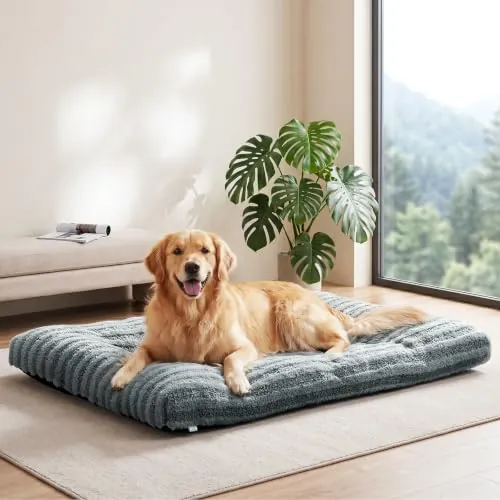 Pawk Cama Perro Grande, XL Cama para Perros Lavable, Cojín para Perros Transpirable Mullido Suave Antideslizante, 102x70x10cm