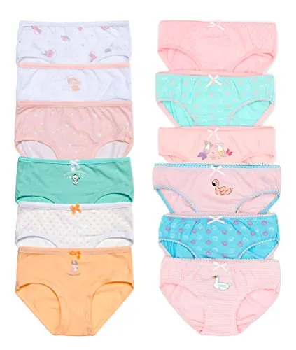 Channo Niña Braguitas de algodón con Estampados y Dibujos Originales. Cómodas y Suaves - Pack de 12, Estaciones, 2-3 años
