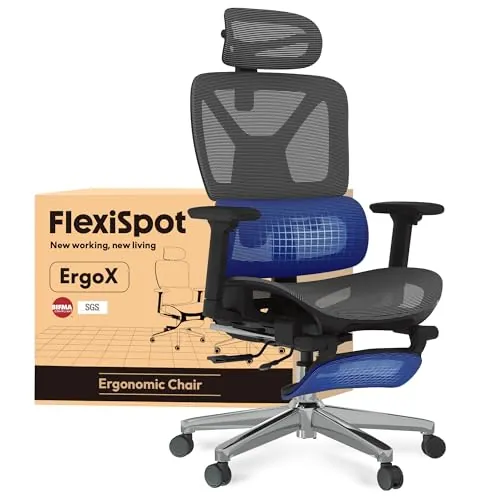 FLEXISPOT ErgoX Silla Escritorio con Reposapiés, Soporte Lumbar, Respaldo 5D, Reposabrazos 3D, Silla Gaming, Cojín Transpirable, Inclinación 135°, Silla Ergonomica Escritorio, Gris