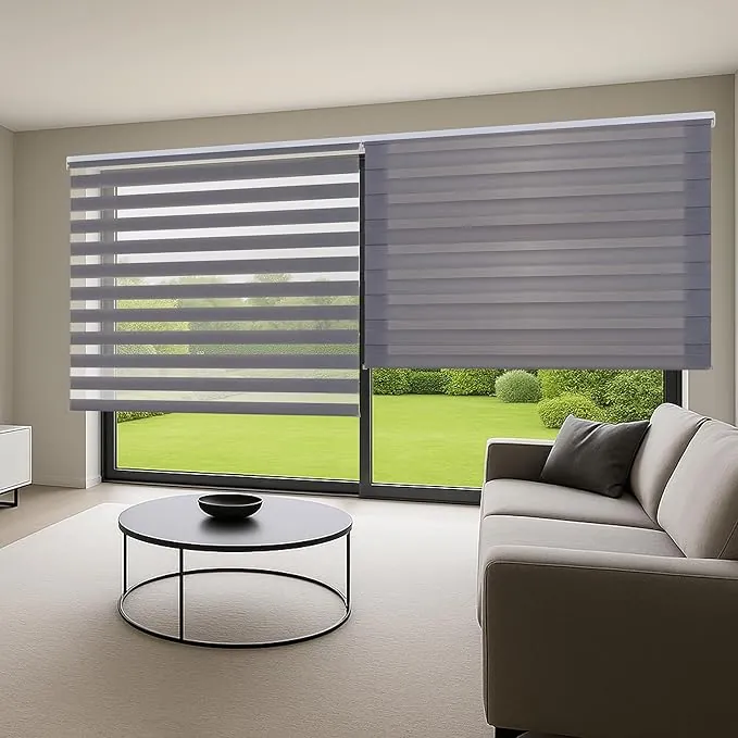 Estores Noche y Día de Calidad con Doble Tejido Elegantes para Ventanas de Interior y Puertas. Elige la privacidad y el Paso de la luz STORESDECO Plata 160 x 250 cm (Ancho x Largo)