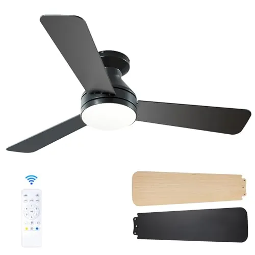 Passky Ventilador de Techo con Luz Doble Cara (Negro, 107 cm)