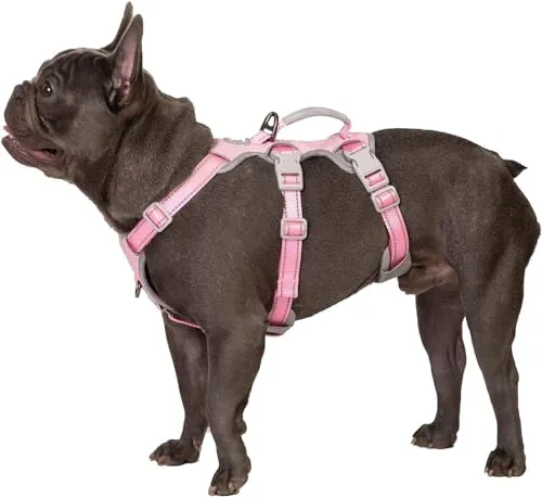 Huntboo Arnés para Perros No Escape, arnés a Prueba de Escapes, arnés Totalmente Reflectante con asa Acolchada, Transpirable, Chaleco Ajustable para Perros pequeños Que pasean, entrenan y corren