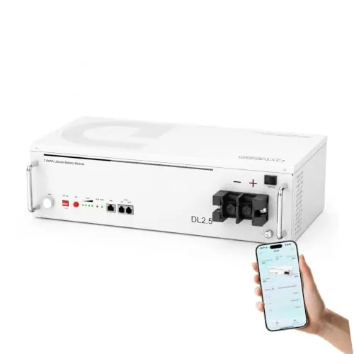 Dyness Batería Litio 24V 100Ah LiFePO4 con Bluetooth, BMS de 100 A, 6000 Ciclos, Can y RS485, 24V Bateria LiFePO4 para Camper, Solar, Barcos de Pesca de Róbalo, Autocaravanas (RV), Fuera de la Red