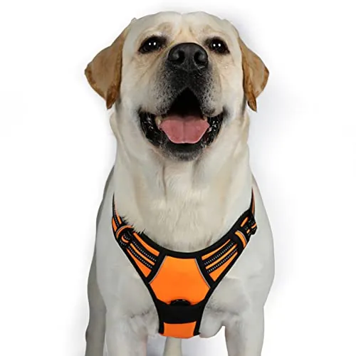 rabbitgoo Arnes Antitirones Perro Ajustable con Lineas Reflectantes Arnés Coche Perro Coche Adiesreamiento Arnes Perro Chaleco Transpirable con Asa Seguridad Extra Grande Naranja
