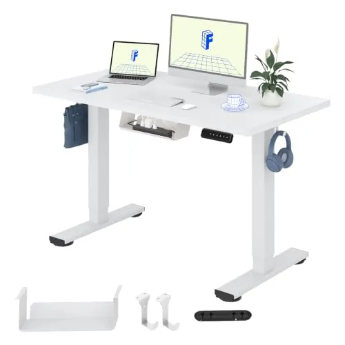 FLEXISPOT QE1 MAX 120x60cm Escritorio Elevable Eléctrico con Tablero Entero Mesa de Elevable, Standing Desk, Mesa Elevable Escritorio con 2 Ganchos y 4 Funciones de Memoria