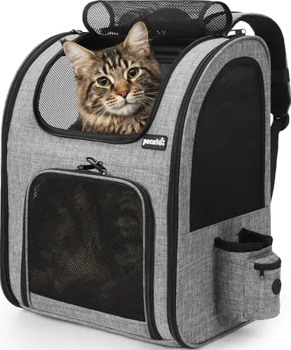 Pecute Mochila Gato XL ＞6kg-＜8kg portátil y Ligera para Mascotas de con Ventana de Malla, Transportin Gato Plegable y Transpirable para Mascotas, Tejido Oxford Impermeable con Gran Espacio