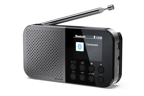 SHARP Osaka DR-P520(GY) Radio Digital de Bolsillo Dab+ FM Bluetooth 5.3