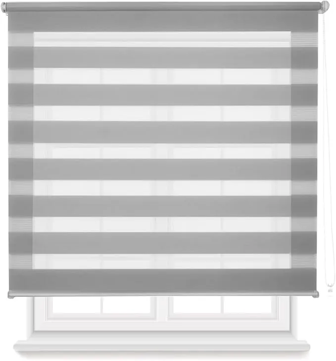 HOME MERCURY - Estor Enrollable de Doble Capa Noche y Día,fácil instalación (160 X 180 CM, Gris)