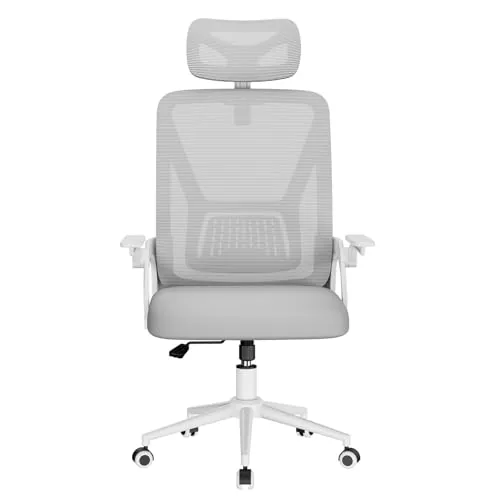 naspaluro Silla de Oficina, Silla de Oficina Ergonómica con Brazos Abatibles 90°, Soporte Lumbar de Diseño Exclusivo, Reposacabezas Ajustable, Tapicería de Malla Transpirable Escritorio, Gris