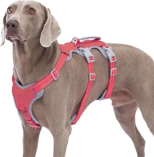 Huntboo Arnés para Perros a Prueba de Fugas, Seguro Sin Escapes, Totalmente Reflectante Con Asa Acolchada, Transpirable, Chaleco Ajustable para Paseo de Perros Grandes