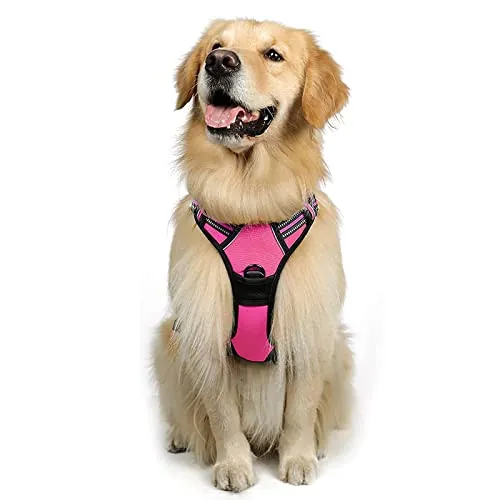 rabbitgoo Arnes Perro Grande, Arnes Perro Antitirones Coche con Lineas Reflecantes, Chaleco Acolchado Ajustable Transpirable con Asa y Anillos para Adiesreamiento Correr Tamaño XL Color Rosa Rojo
