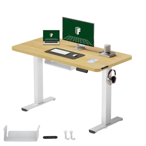 FLEXISPOT Escritorio Elevable Eléctrico 120x60, Tablero Entero, 4 Memorias | Mesa Elevable Altura Ajustable, organizador de cables, anticolisión con retroceso y 4 memorias, garantía de 5 años, Negro