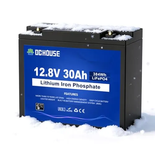 DCHOUSE Batería Mini Litio 12V 30Ah con Conector DC y Protección BMS 30A