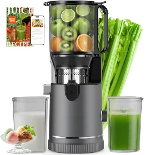 XTKKGFBIR SJ-065 Extractor de Zumos en Frío, 400W, Boca XL 152 mm