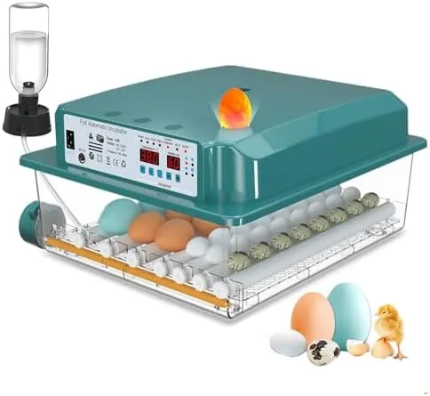 CoInceptus Incubadora Huevos Gallina, Incubadora de 24-36 Huevos con Volteo Automático de Huevos y Adición Automática de Agua, Incubadora con 4 Modos de Incubación Automáticos