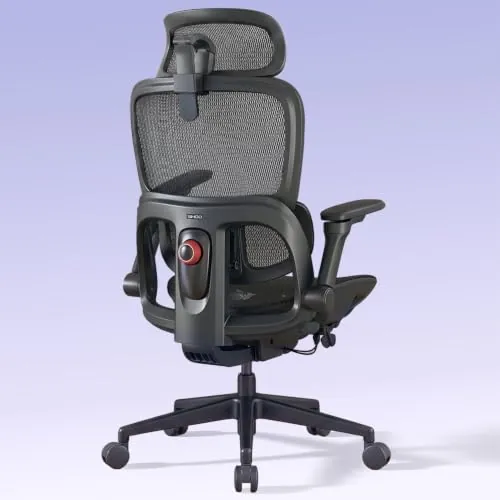 SIHOO B300 Pro Silla Ergonómica Oficina Soporte Lumbar Adaptativo, Negro