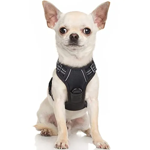 rabbitgoo Arnes Perro Pequeño, Arnes Perro Antitirones Coche con Lineas Reflecantes, Chaleco Gato Acolchado Ajustable Transpirable con Asa y Anillos para Adiesreamiento Correr Tamaño XS Negro