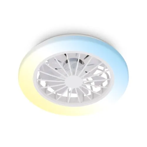 BRILONER - Ventilador de techo con luz LED, mando a distancia, motor DC silencioso con 5 velocidades, CCT y luz regulable, lámpara ventilador techo dormitorio, 38 x 14 cm, blanco
