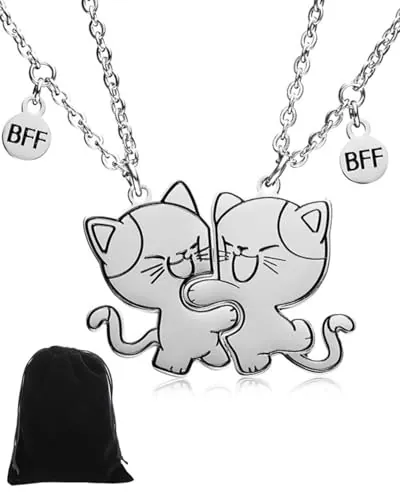 FDCGAS 2 piezas Mejores amigos,gato a juego collar colgante niñas acero inoxidable gato amistad collar BFF, hermanas colgante collar amistad joyería regalo, para amantes,amigos