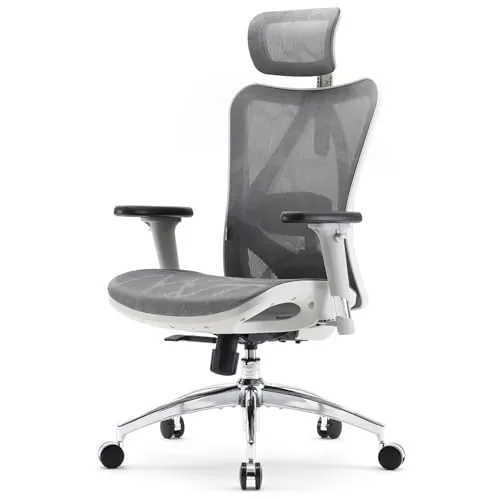 SIHOO M57 Silla ergonómica de Oficina con reposabrazos 3D, Soporte Lumbar y cabecera Ajustable, función de inclinación Sincronizada y Respaldo Alto - Gris Claro