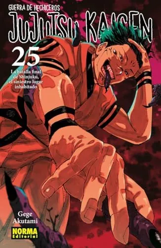 JUJUTSU KAISEN 25