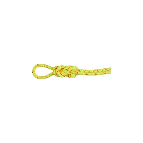 Mammut 9.5 Alpine Core Protect - Cuerda Seca (80 m, 80 m)
