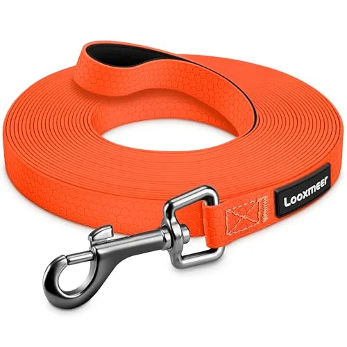 Correa Perro Adiestramiento, 3 m / 5m / 7m / 10m / 15m Impermeable, Naranja
