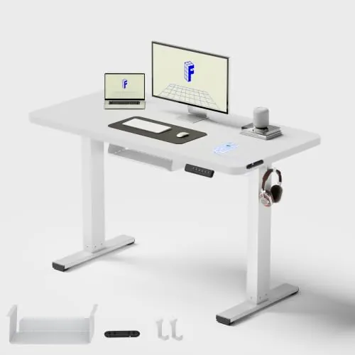 FLEXISPOT Escritorio Elevable Eléctrico 120x60, Tablero Entero, 4 Memorias