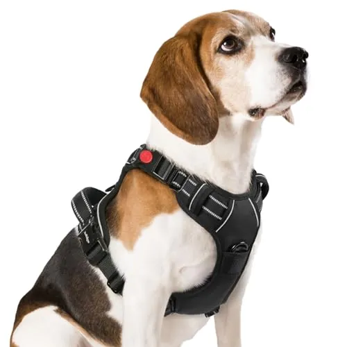 rabbitgoo Arnes Perro Mediano con 3 Hebillas, Liberacion del Cuello, Arnes Perro Ajustable con Asa y Clip Frontal, Arnés Antitirones para Perros Reflectante para Adiestramiento Correr, Negro, M
